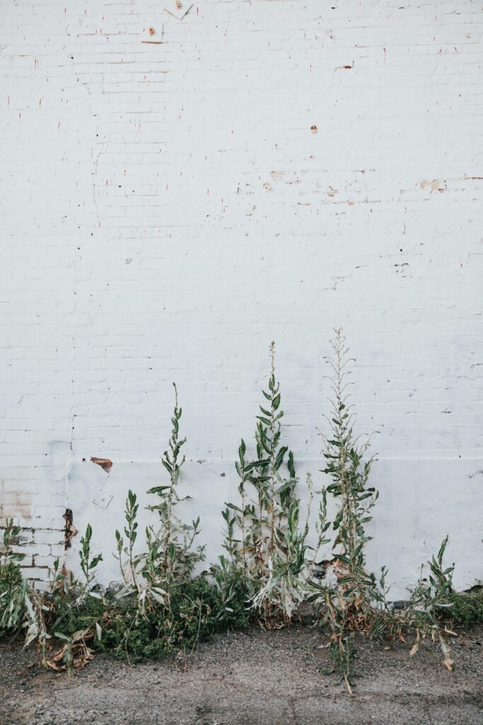 nathan dumlao cpqkcm8salk unsplash nathan dumlao cpqkcm8salk unsplash